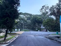 Tanglin Road (D10), Detached #556201811